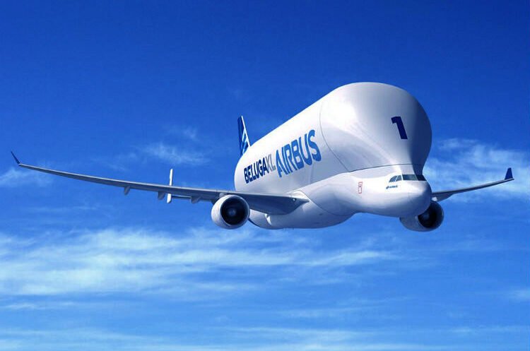 Beluga_XL_1